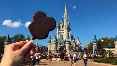 Mickey Bar-Castle