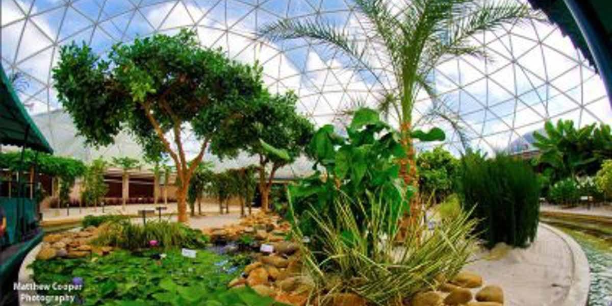 Living With The Land