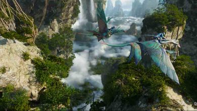 Flight of Passage