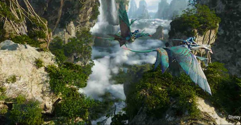 Flight of Passage