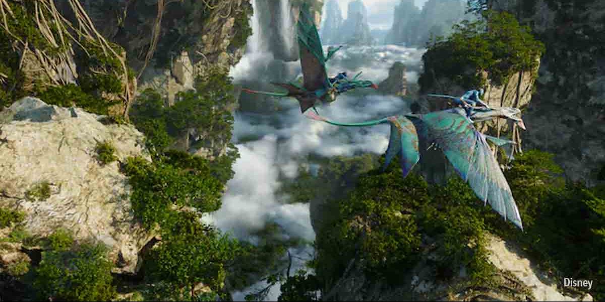 Flight of Passage