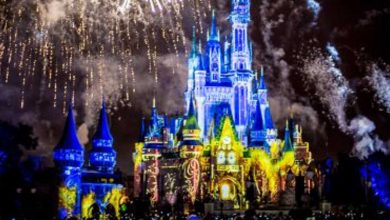Brilliant fireworks burst over Cinderella Castle at Walt Disney World, illuminating the night for excited park guests.