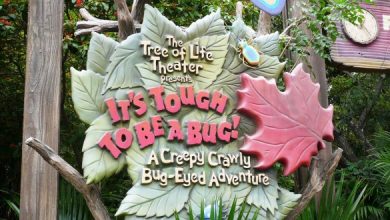 It's Tough to Be a Bug