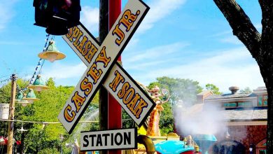 Casey Jr Splash Soak