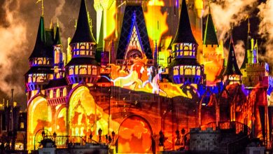 Happily Ever After-Lion King