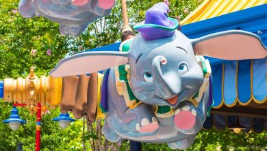 Dumbo Ride