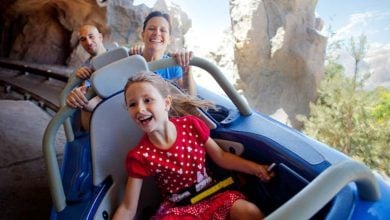 Matterhorn Bobsleds Disneyland