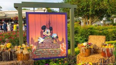 Mickey's Not So Scary Halloween Party