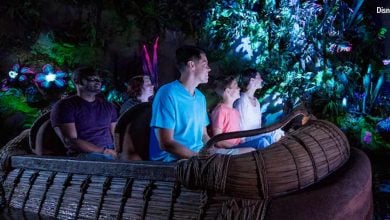 Navi River Journey