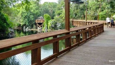 Pathway To Africa