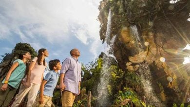 Pandora World Of Avatar