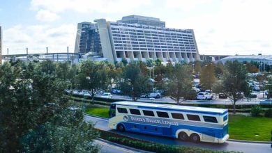 Contemporary Resort Bus