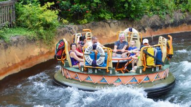 Family on Kali River Rapids in Disney's Animal Kingdom