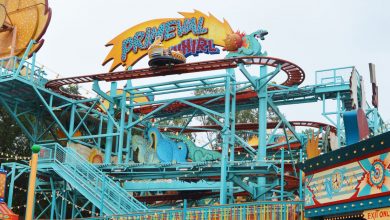 Primevil Whirl