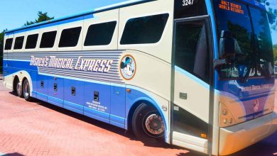 Magical Express