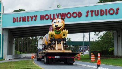 Slinky Dog Coaster