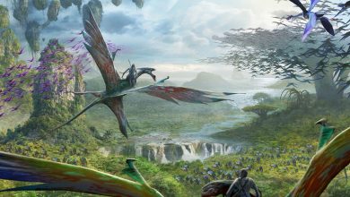 Flight of Passage