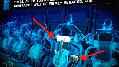 Flight of Passage