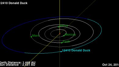 Asteroid Donald Duck