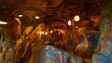 Avatar Flight of Passage