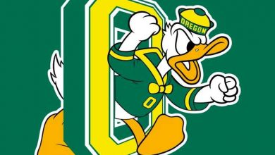 FIghting Ducks