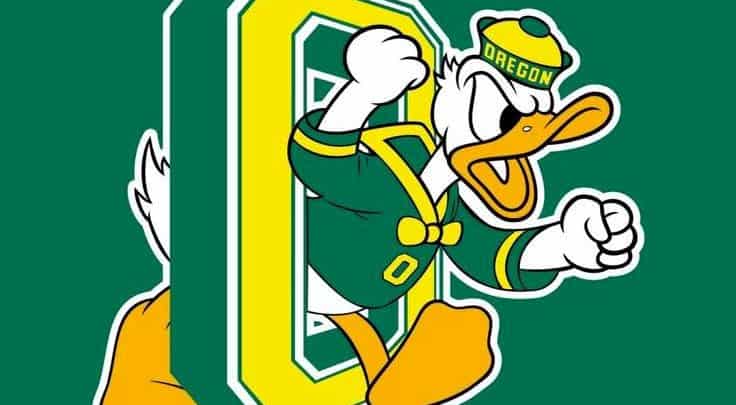 FIghting Ducks