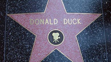 Star walk of fame Donald Duck