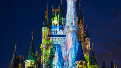 Celebrate the Magic