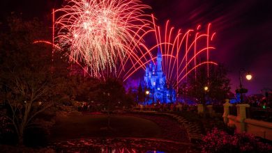 Red fireworks burst above Cinderella Castle at Magic Kingdom, their glow reflecting in the pond amid the surrounding trees.