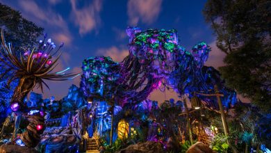 Pandora at Night