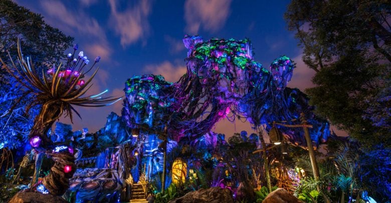 Pandora at Night