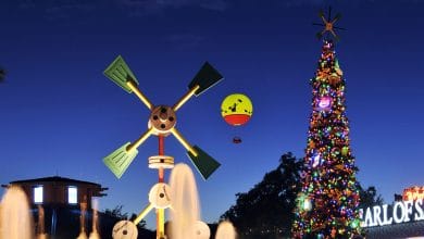 Christmas Tree Trail