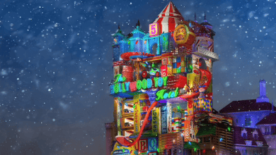 Flurry of Fun