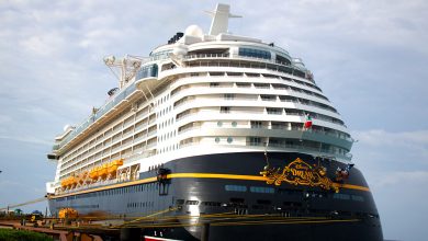 A grand cruise liner docked at a bustling port, captured from below with blue skies—ready for guests to begin their adventure.
