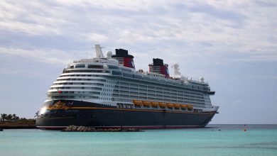 A vibrant cruise liner docks beside a lush island paradise, inviting guests to explore sparkling waters and sunny adventure.