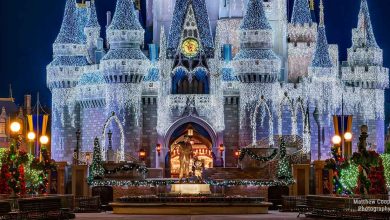 Cinderella Castle at Magic Kingdom sparkling with white holiday lights and festive Christmas décor during nighttime festivities.