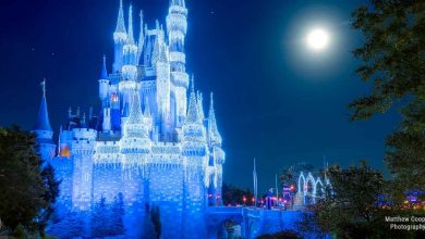 Cinderella Castle illuminated at night in Magic Kingdom, with glowing décor and trees under a shimmering full moon.