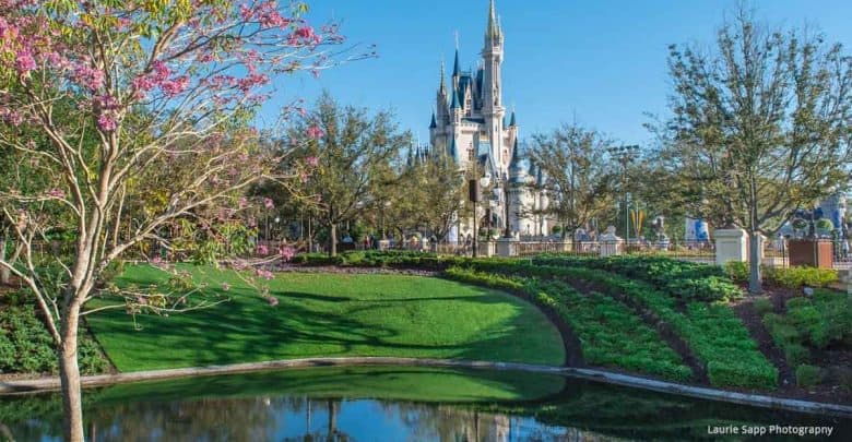 Cinderella Castle at Disney World surrounded by vibrant landscaping, with its iconic reflection shimmering in a sunny pond.