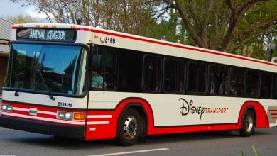 Disney Transport bus ready to whisk guests to Animal Kingdom, parked amid lush greenery on Walt Disney World property.