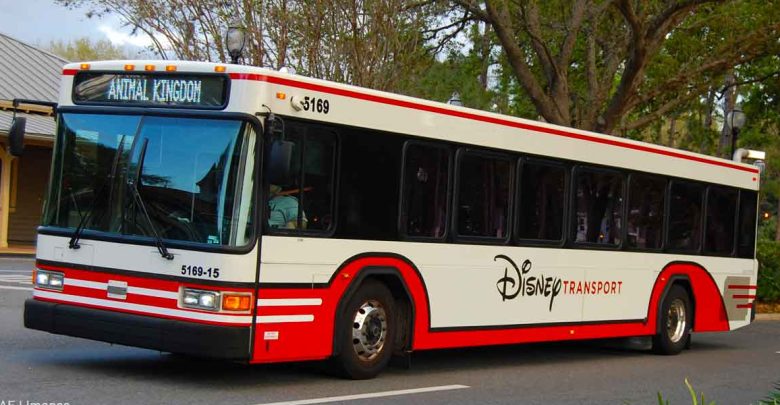 Disney Transport bus ready to whisk guests to Animal Kingdom, parked amid lush greenery on Walt Disney World property.