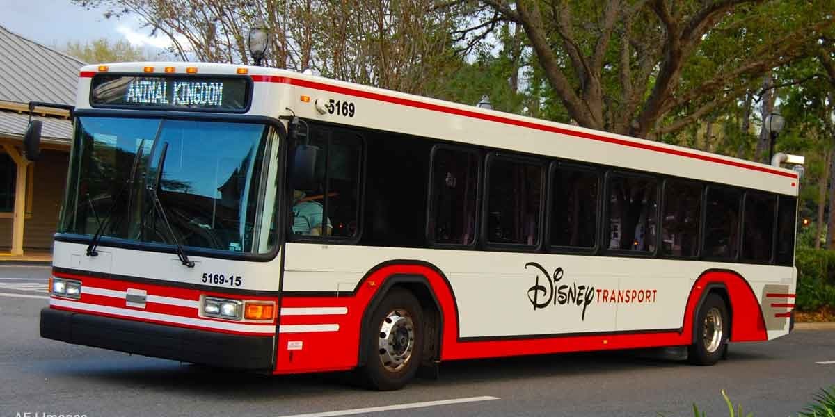 Disney Transport bus ready to whisk guests to Animal Kingdom, parked amid lush greenery on Walt Disney World property.
