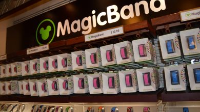 Magicband