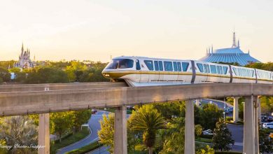 The iconic Disney Monorail glides past lush trees, with Cinderella Castle and Space Mountain lit by the golden sunset at Magic Kingdom.