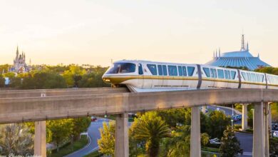 The iconic Disney Monorail glides past lush trees, with Cinderella Castle and Space Mountain lit by the golden sunset at Magic Kingdom.