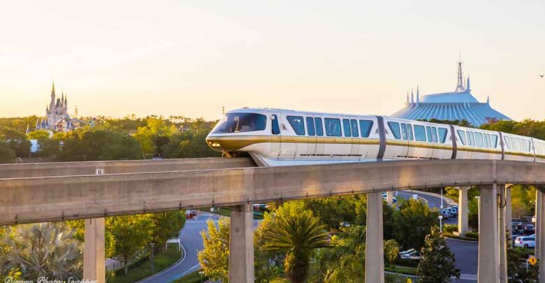 The iconic Disney Monorail glides past lush trees, with Cinderella Castle and Space Mountain lit by the golden sunset at Magic Kingdom.
