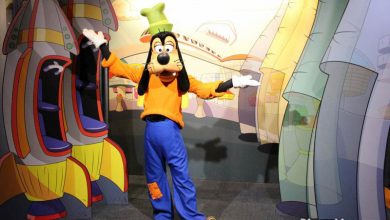 Goofy