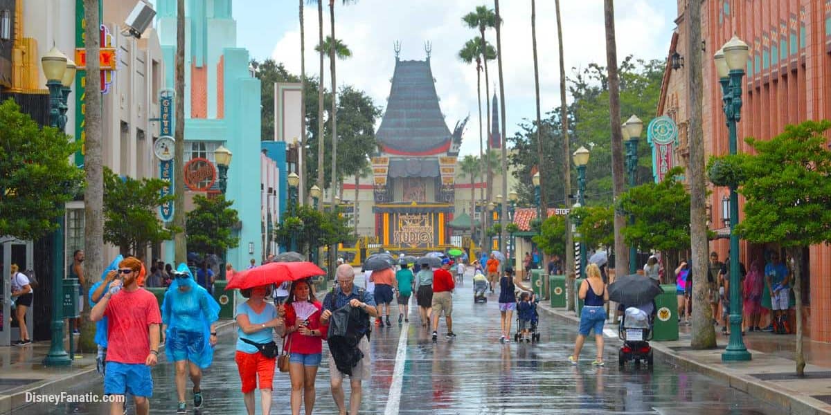 Disney's Hollywood Studios in the rain