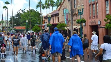 Walt Disney World in the Rain