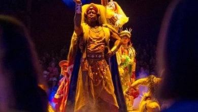 Performers in vibrant costumes stand on stage under colorful lights, evoking the dynamic spirit of the animal kingdom. The central figure, like a regal creature, wears a richly adorned outfit and strikes a dramatic pose as others surround them. The audience is visible in the dimly lit background.