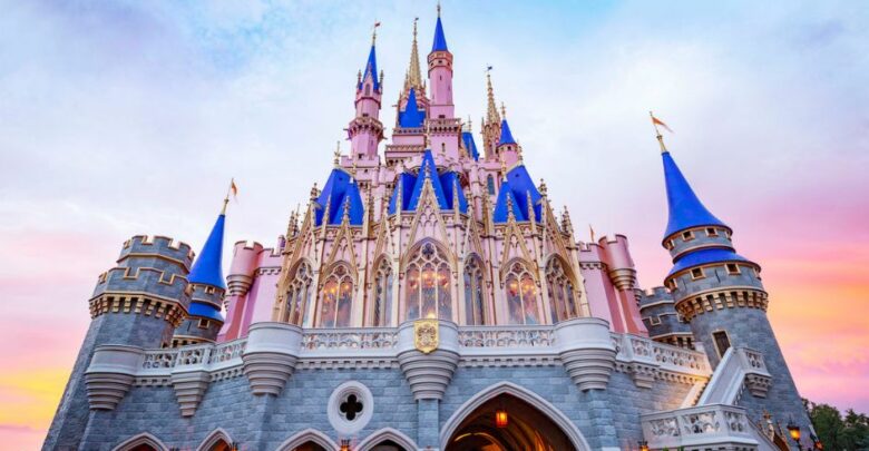 magic kingdom castle
